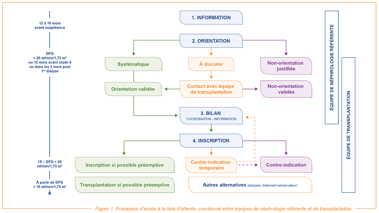 Haute Autorité de Santé - Transplantation rénale - Accès à la liste  d'attente nationale