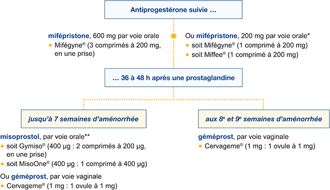 Ivg medicamenteuse deroulement