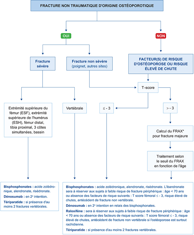 Haute Autorite De Sante Les Medicaments De L Osteoporose