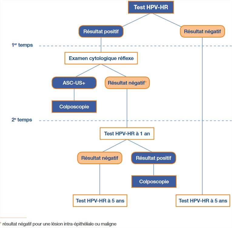 Algorithme de triage des femmes âgées de 30 à 65 ans auxquelles un test HPVa été proposé en dépistage primaire du CCU
