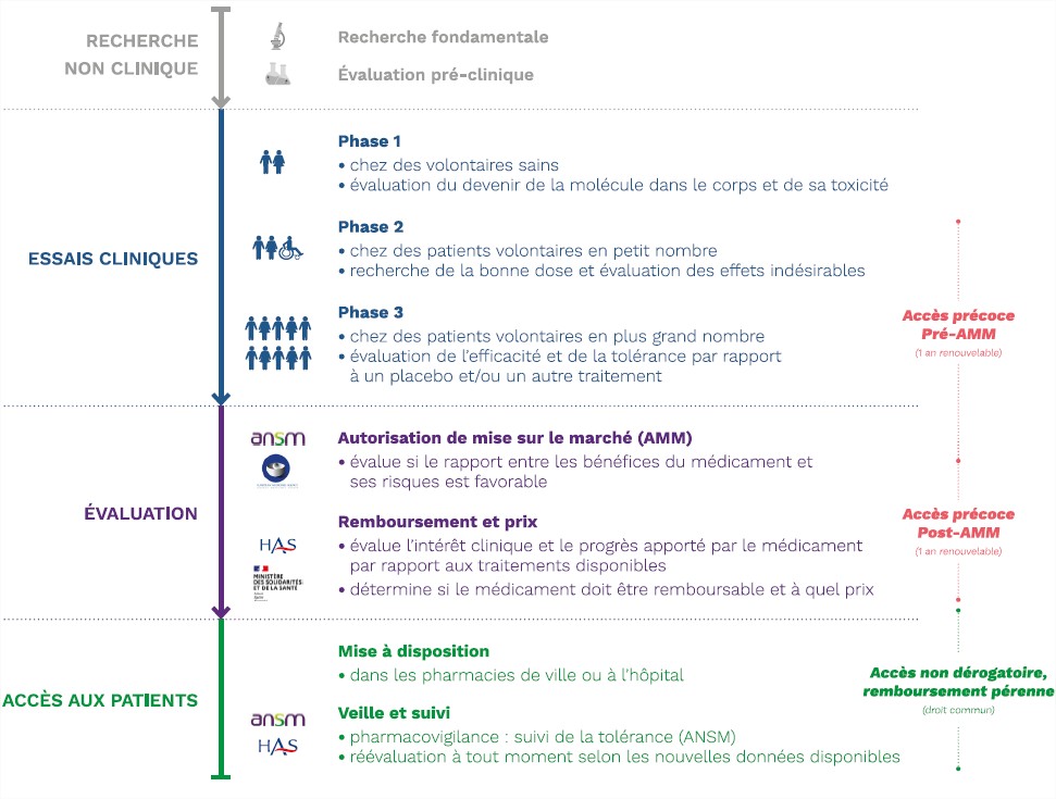 L’accès précoce dans le parcours du médicament