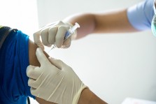 image à la une Grippe zoonotique H5N1