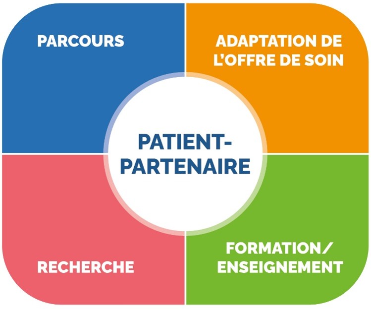 Infographie PATIENT PARTENAIRE