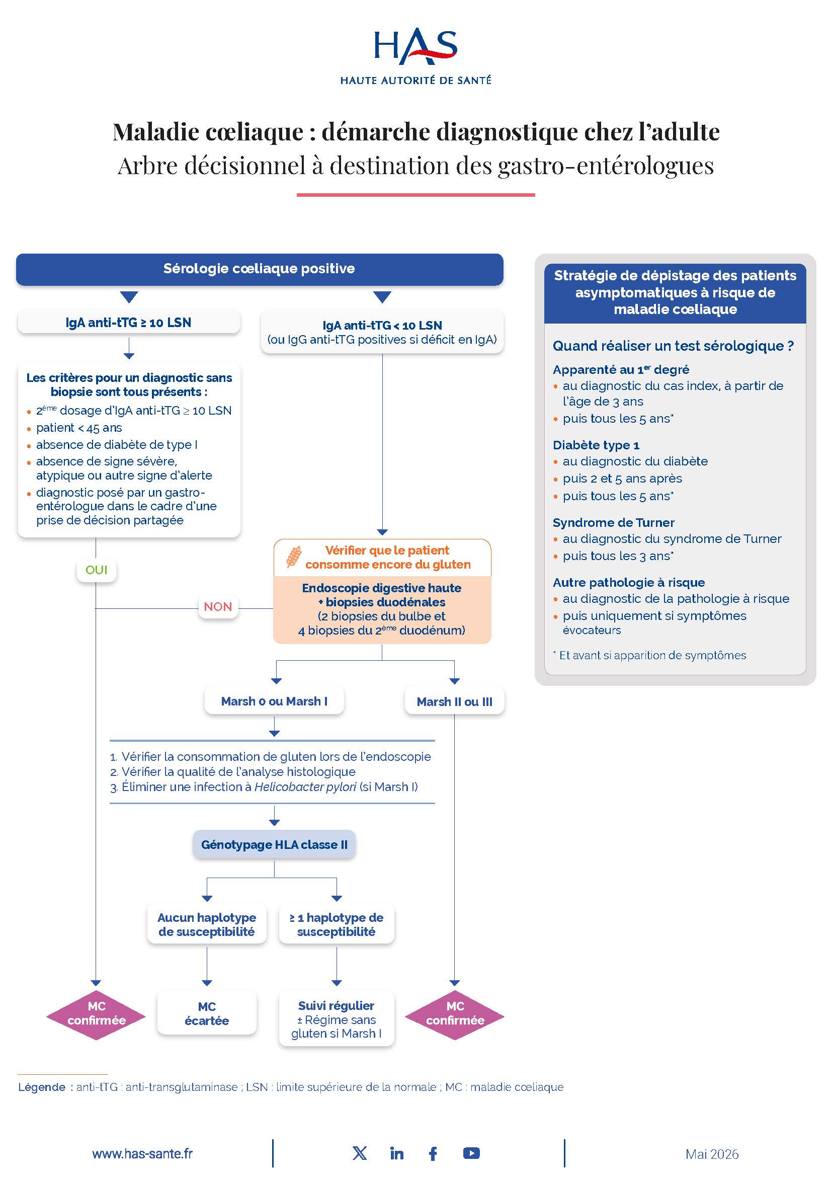 Maladie coeliaque - démarche diagnostic chez l'adulte -Arbre décisionnel gastro-entérologue