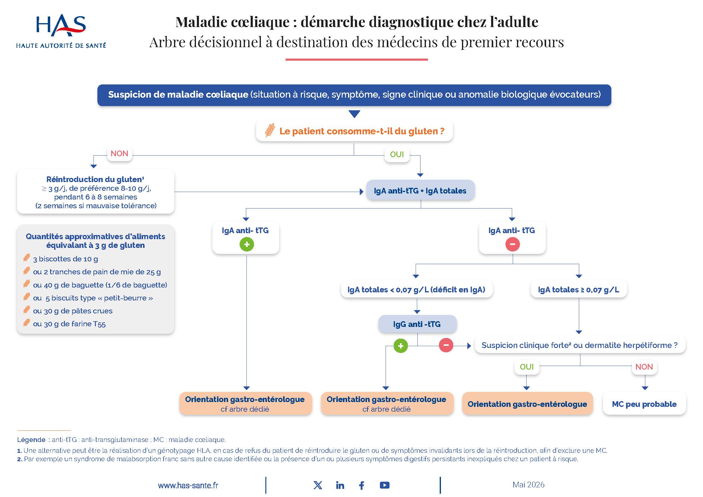 Maladie coeliaque - démarche diagnostic chez l'adulte -Arbre décisionnel médecin généraliste