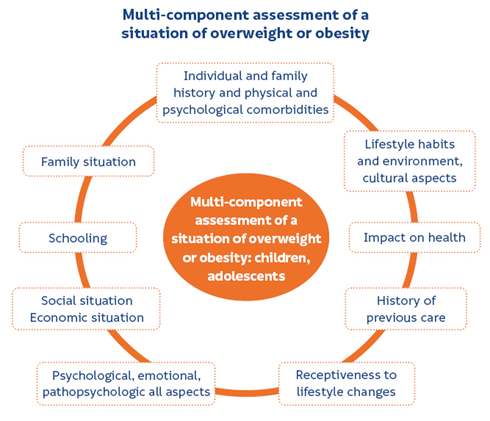 Multi-component assessment of a situation of overweight or obesity - plan
