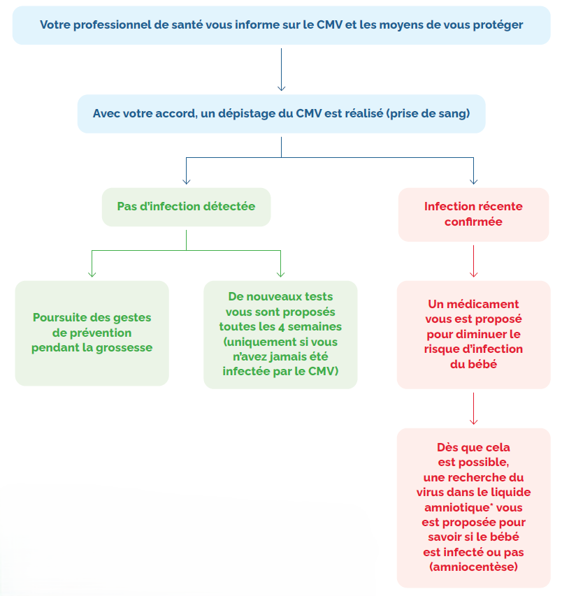 Infographie CMV DEBUT GROSSESSE 1